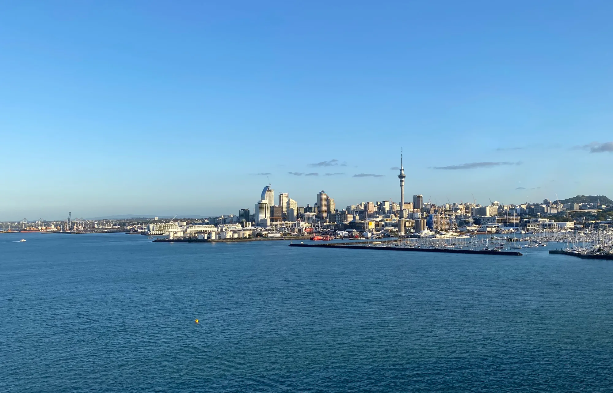 Preparation in auckland
